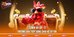 23win-da-ga-3-truong-dau-tiep-song-choi-ke-uy-tin