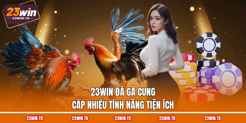 23win-da-ga-cung-cap-nhieu-tinh-nang-tien-ich