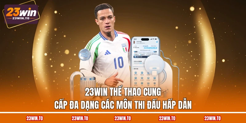 23win-the-thao-cung-cap-da-dang-cac-mon-thi-dau-hap-dan