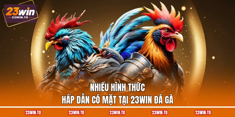 nhieu-hinh-thuc-hap-dan-co-mat-tai-23win-da-ga