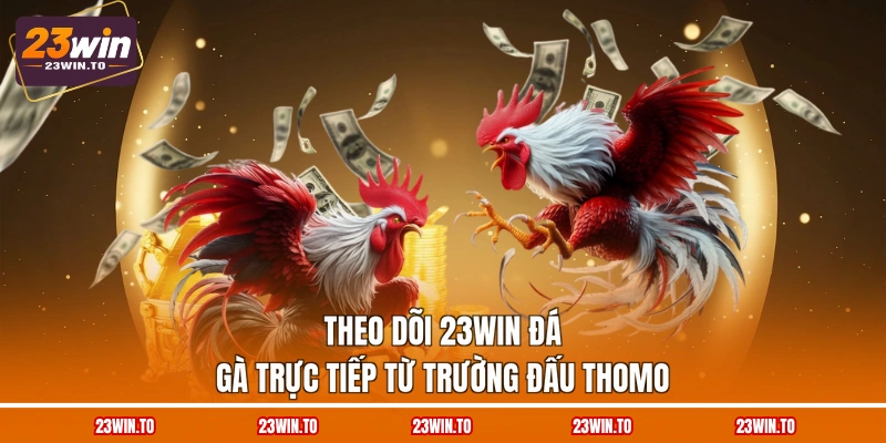 theo-doi-23win-da-ga-truc-tiep-tu-truong-dau-thomo